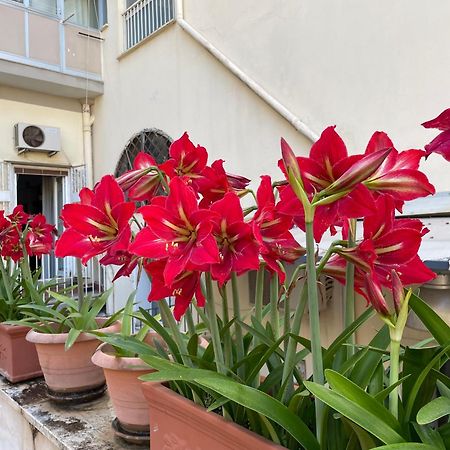 Il Giglio Rosso Daire Napoli Dış mekan fotoğraf